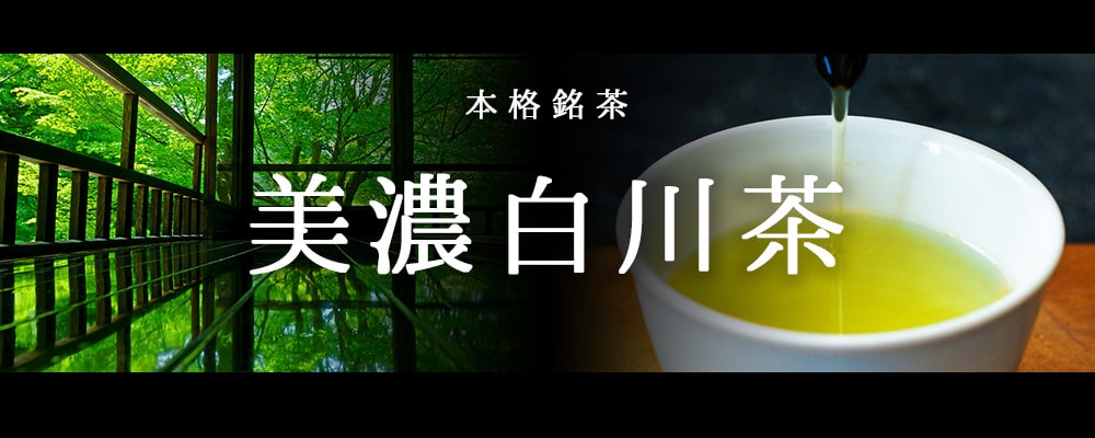 白川茶