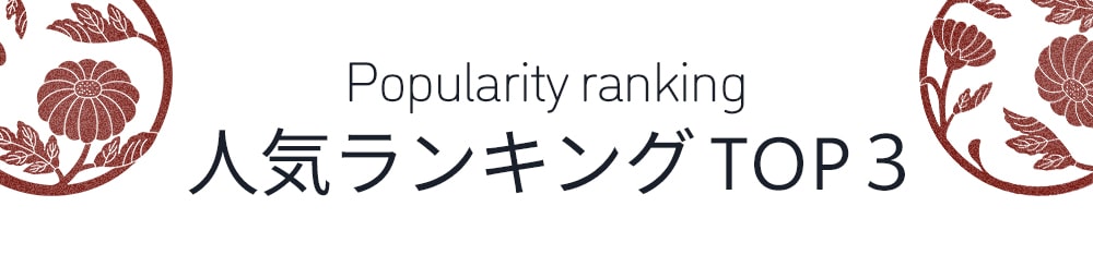 人気ランキング