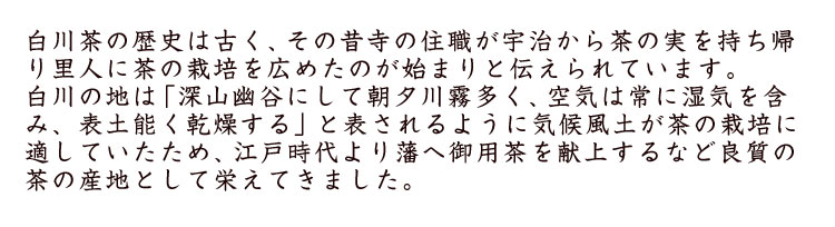 白川茶とは2