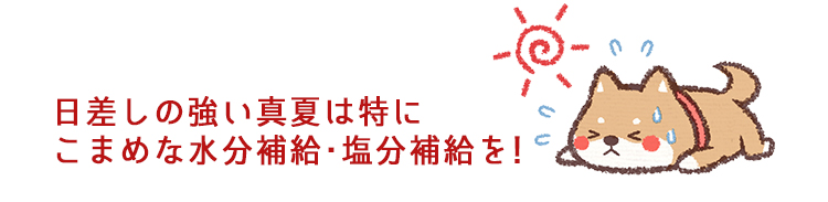 真夏はこまめな水分補給と塩分補給を