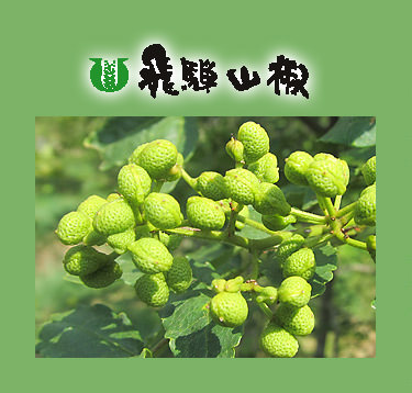 飛騨山椒とは