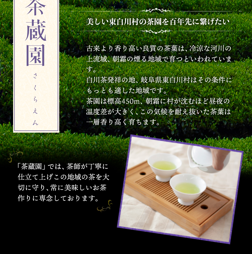 白川茶高級煎茶　神賜80g入り