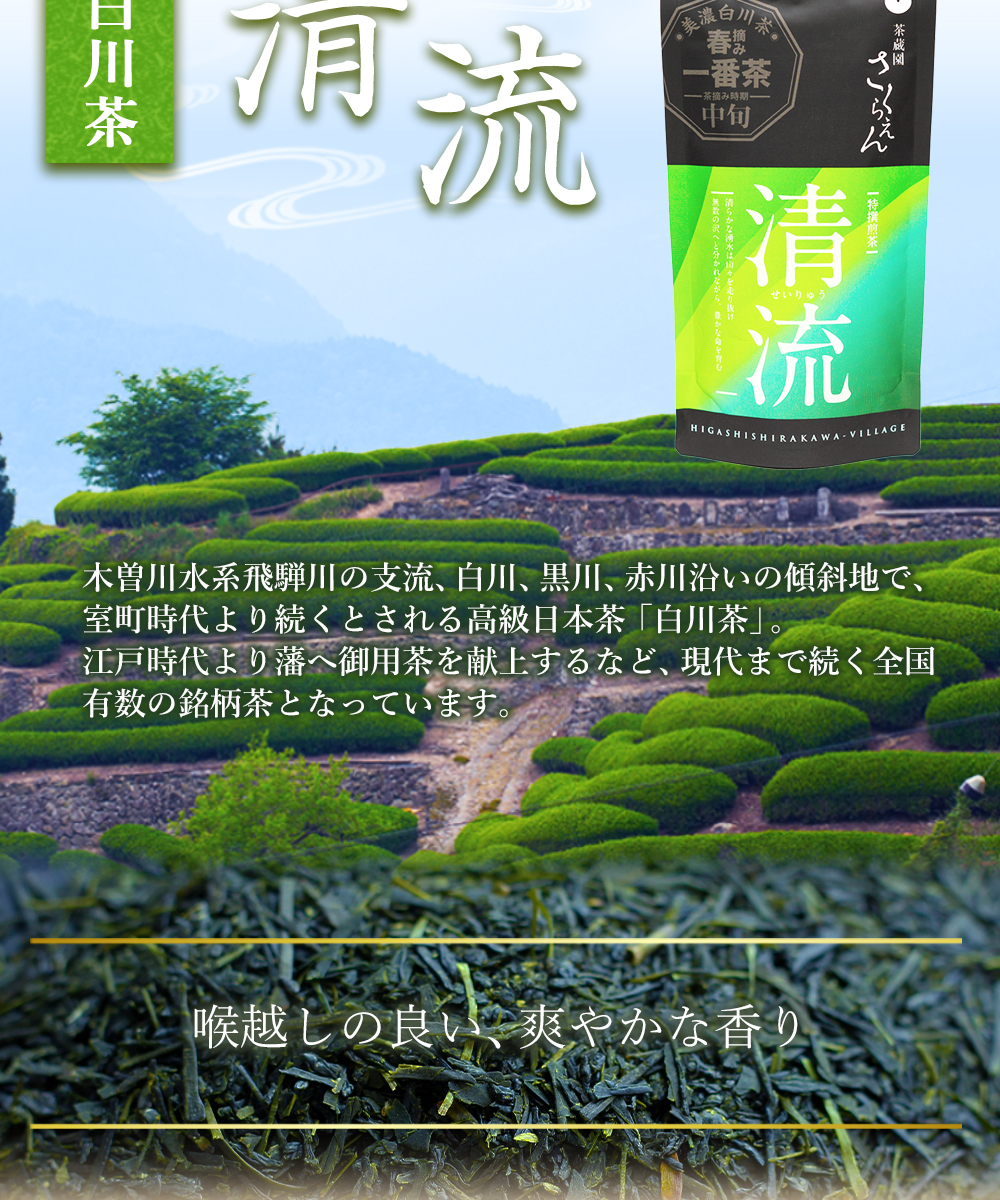 送料360円～】白川茶 特上煎茶 清流 茶蔵園｜あずさ屋