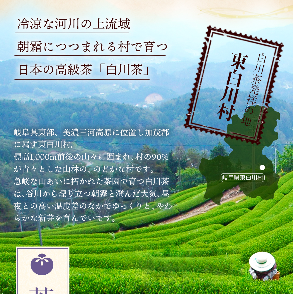 白川茶特上煎茶　清流80g