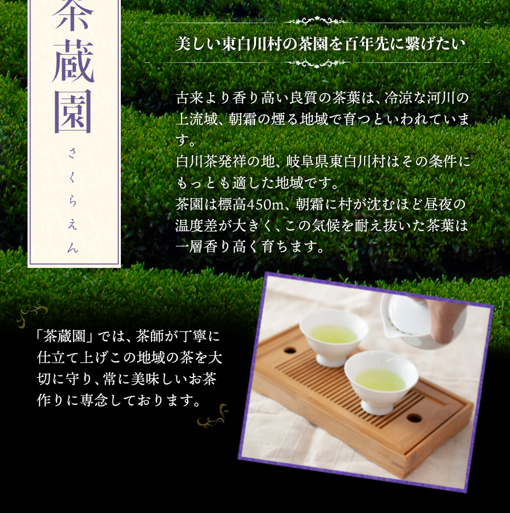 白川茶特上煎茶　清流80g