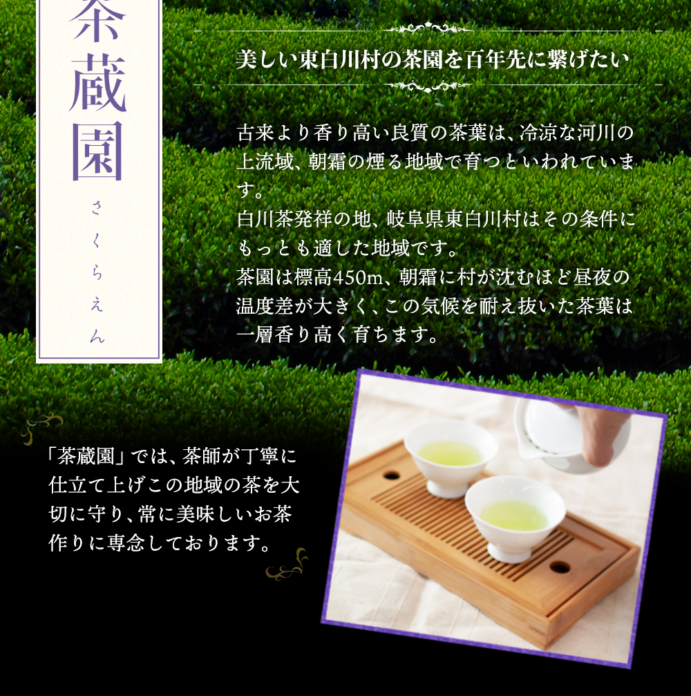 白川茶高級煎茶　天籟80g