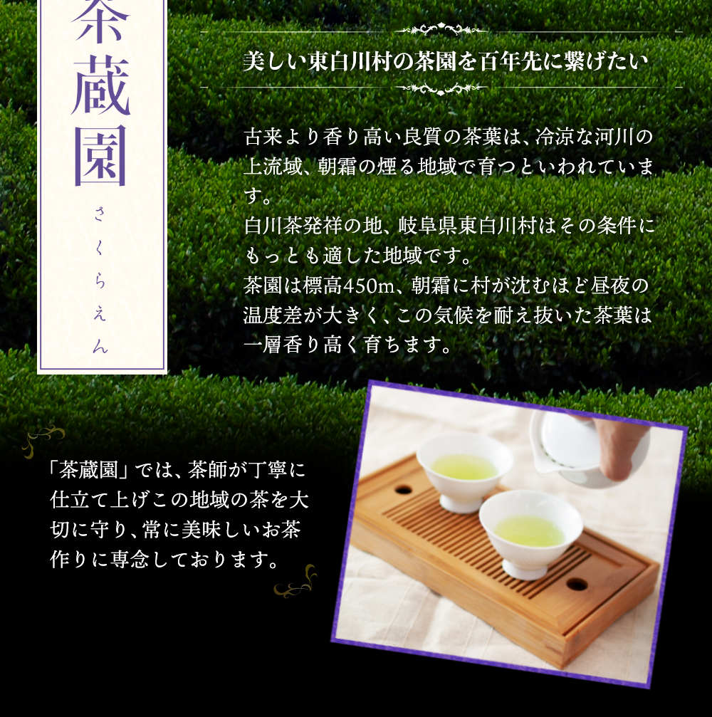 白川茶高級煎茶　神賜杯桐箱入り