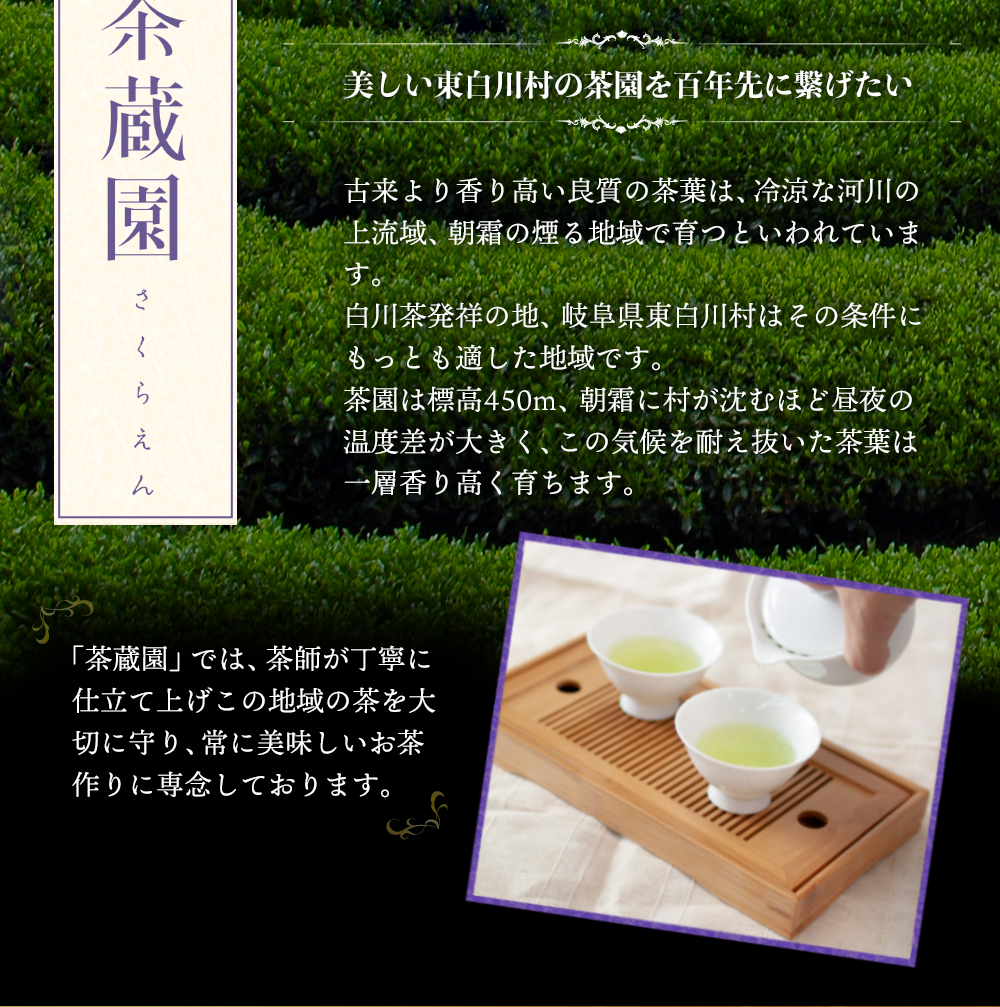 白川茶特上煎茶　清流桐箱入り