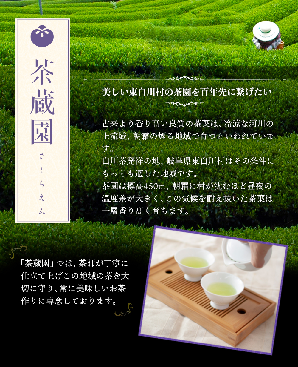 白川茶高級煎茶　天籟桐箱入り