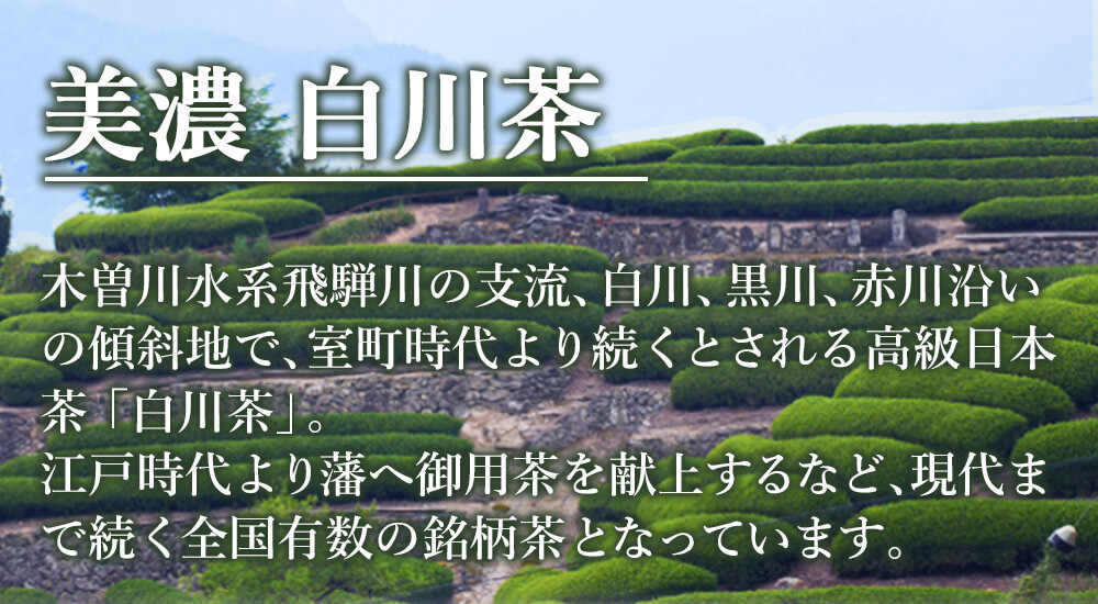 選べる東白川村の銘茶