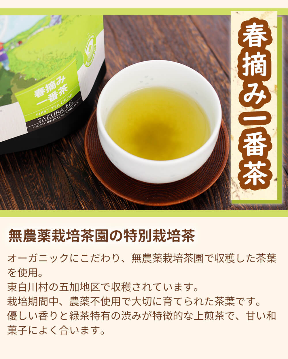 春摘一番茶