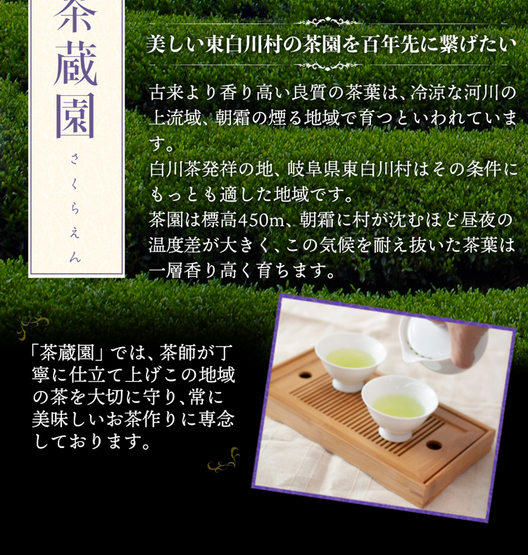 白川茶高級煎茶　天皇杯100ｇ入り