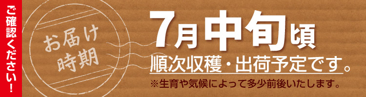 お届け予定日