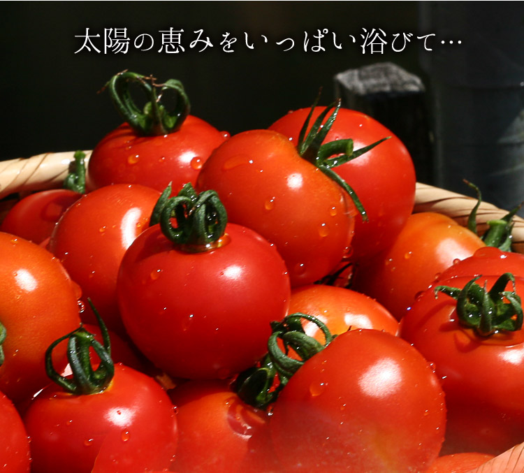 杤本農園で育った