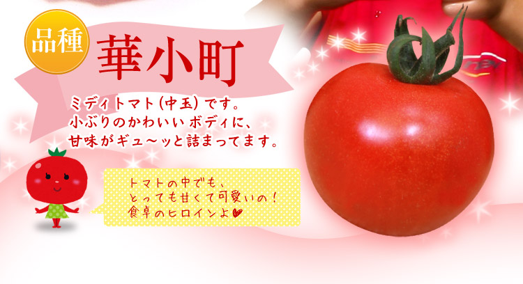 品種 華小町