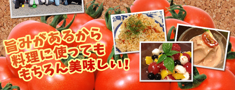 旨みがあるから料理にも