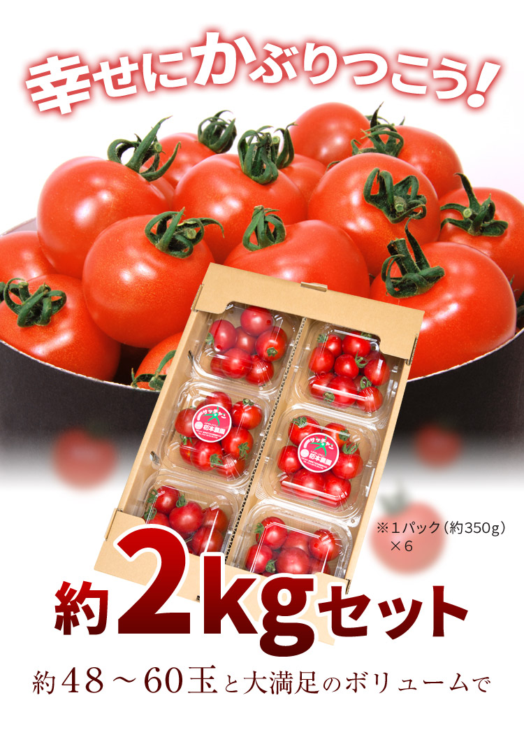 フルーツトマト1kgセット