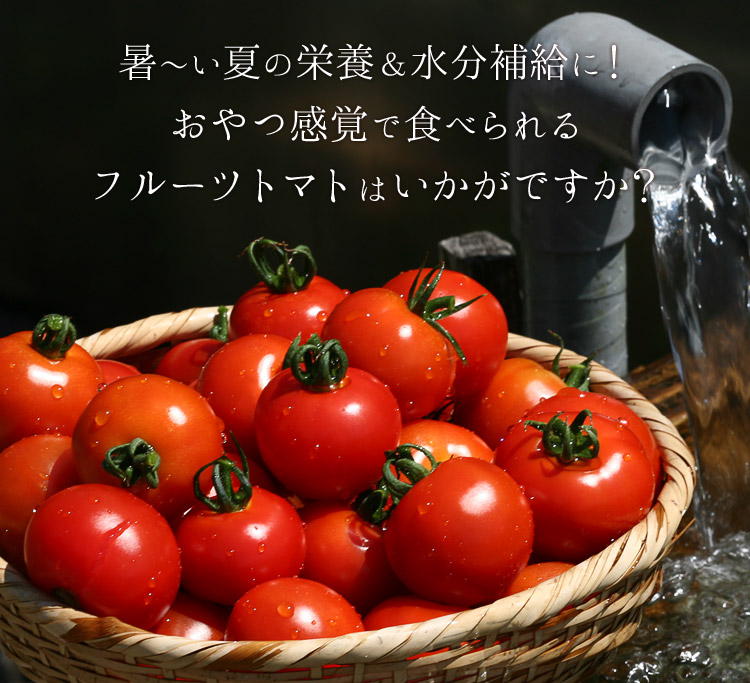 暑い夏にフルーツトマトはいかが?