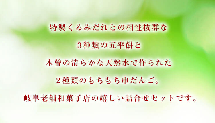 岐阜老舗和菓子店の特製五平餅・串だんご詰合せ