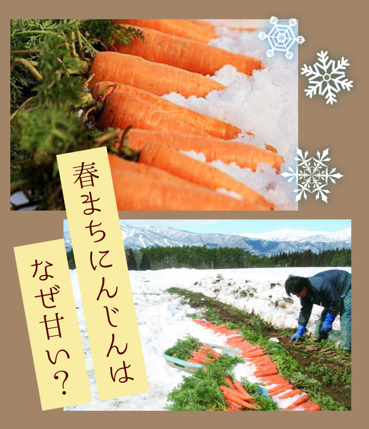 なぜ甘い