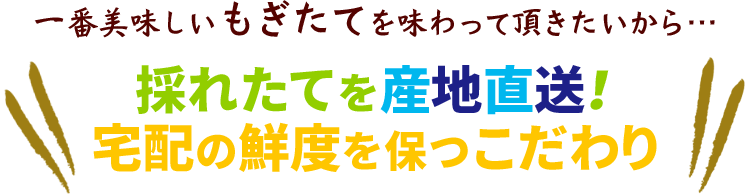 採れたてを産地直送！
宅配の鮮度を保つこだわり