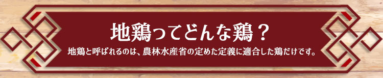 地鶏ってどんな鶏？１