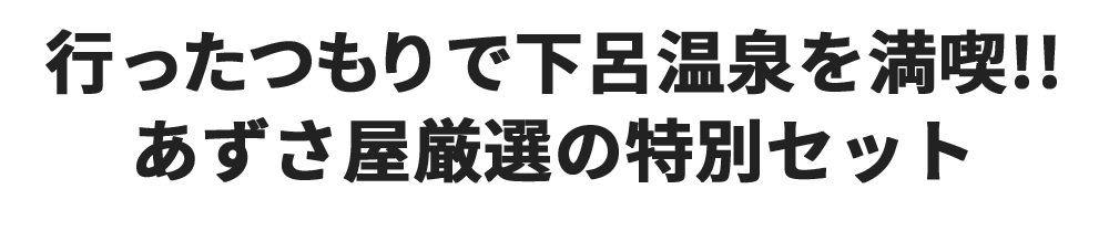 エア観光下呂温泉03