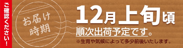 お届け予定日