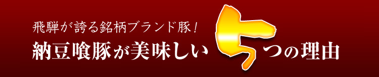 納豆喰豚が美味しい5つの理由