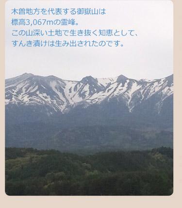 すんき漬けの歴史