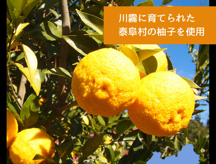 泰阜村の柚子使用