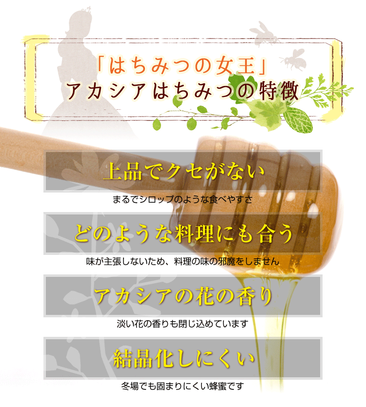 蜂蜜の女王アカシアはちみつの特徴