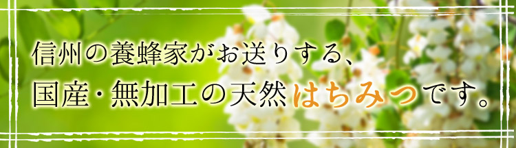 信州の養蜂家が送る