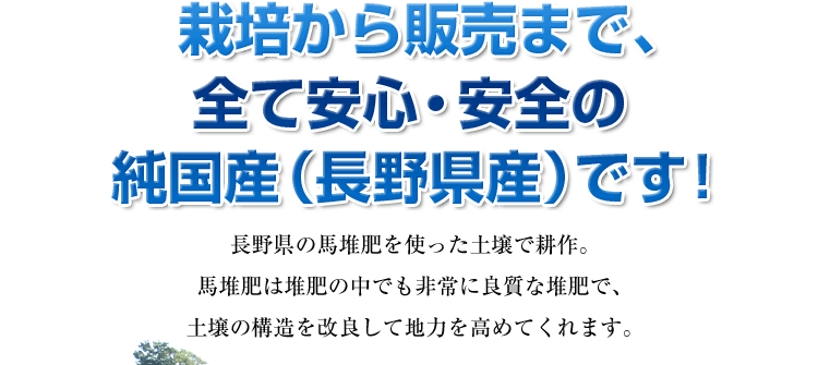 安心安全