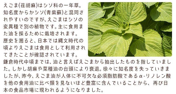 えごまの歴史