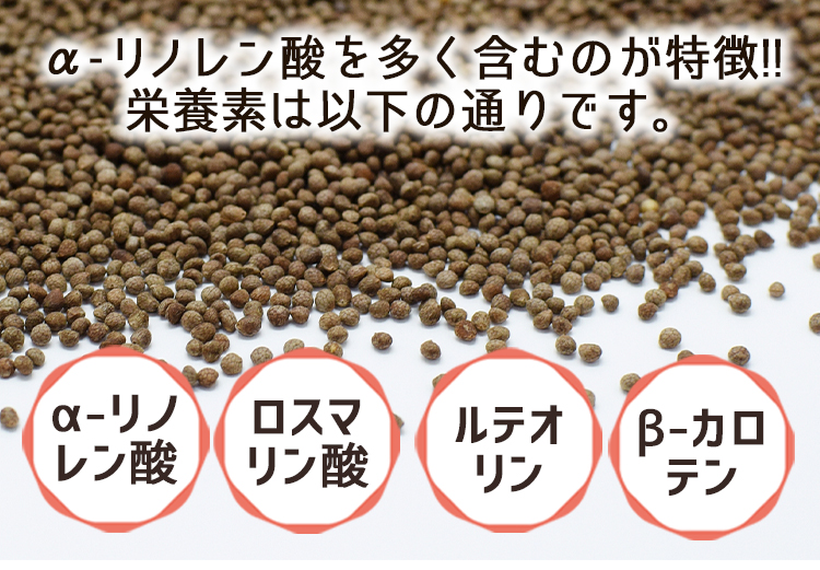 えごまの栄養