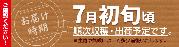 お届け予定日