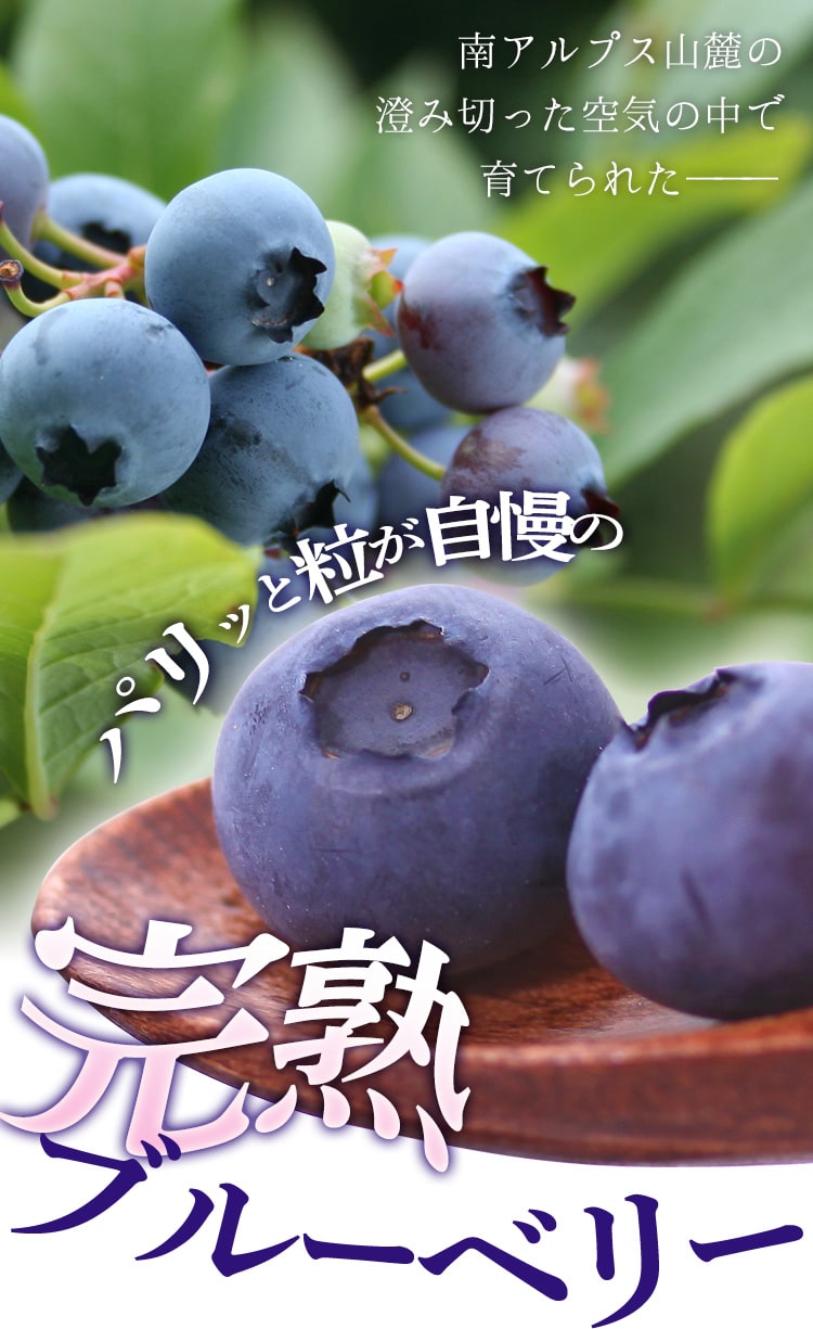 大鹿村で育った