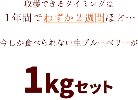 今しか食べられない
