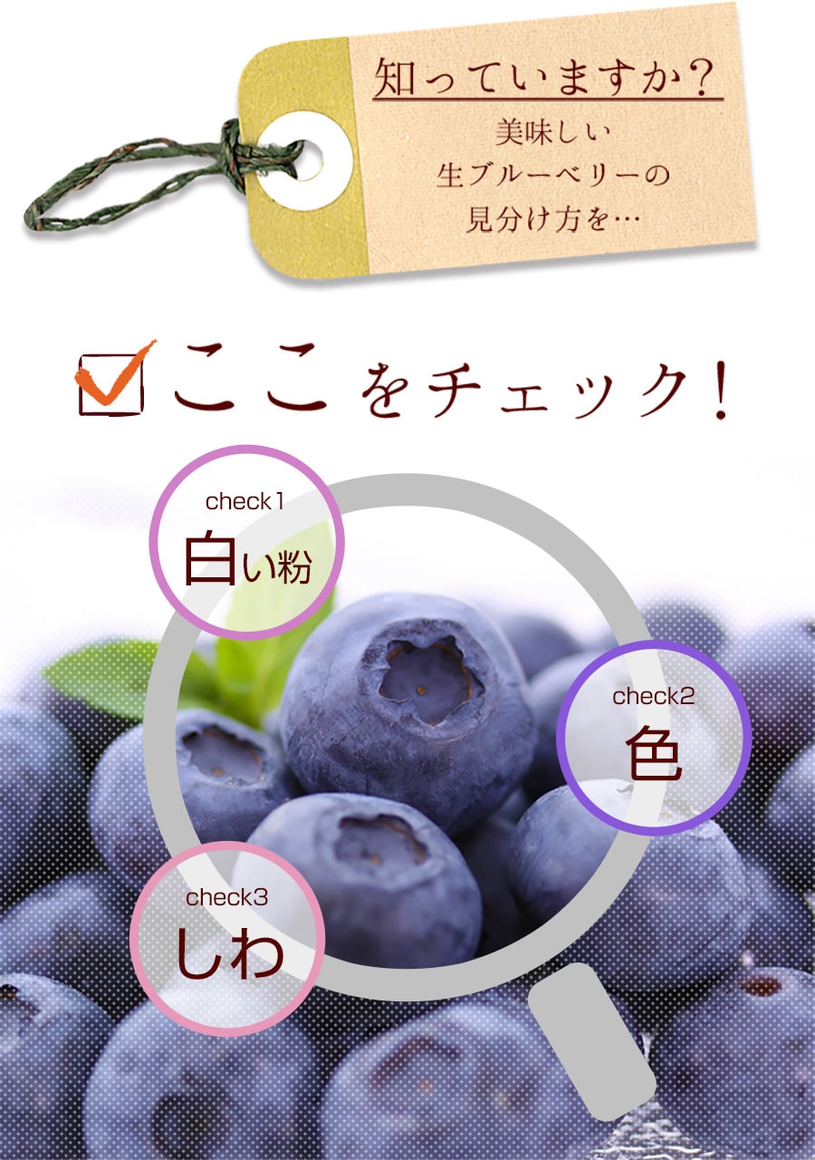 見分け方