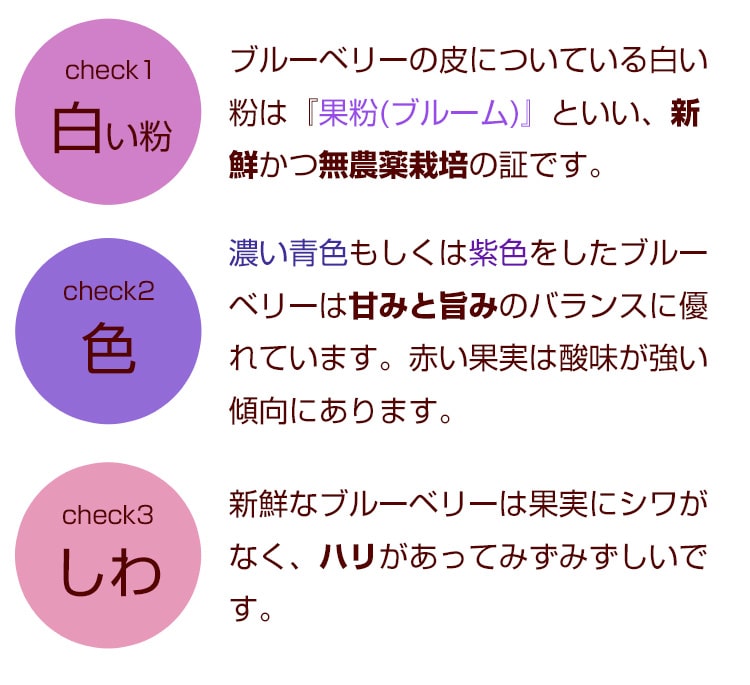 ここをチェック