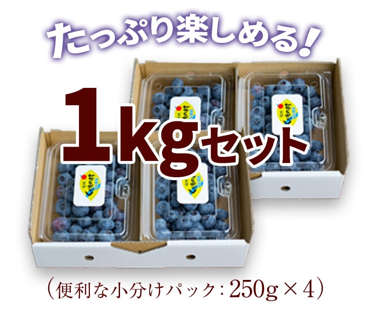 ブルーベリー1kgセット