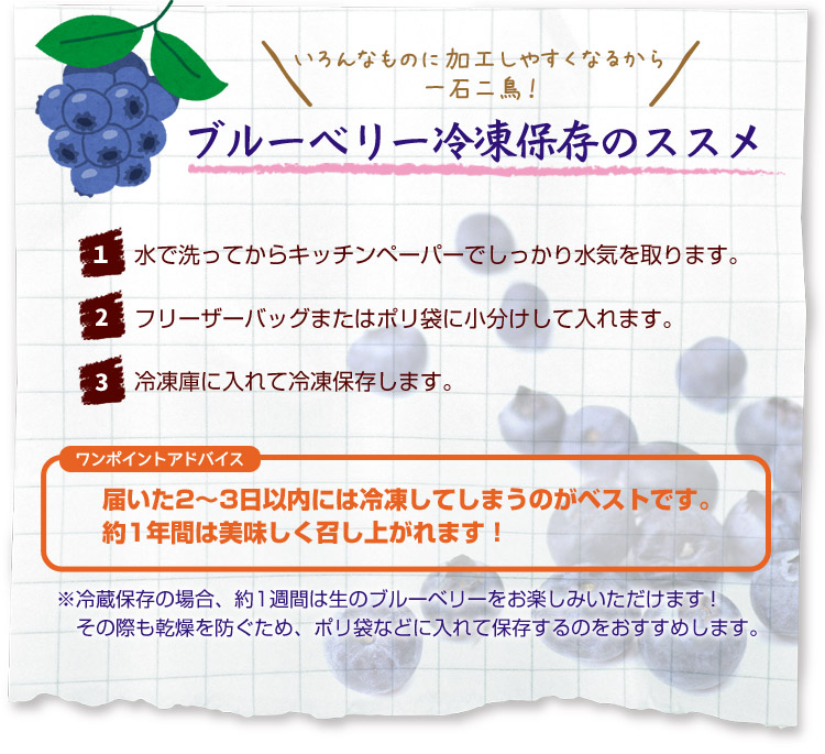 冷凍保存のすすめ