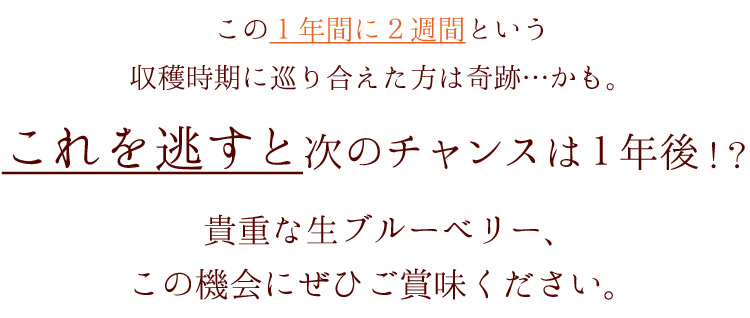 このチャンスをお見逃しなく