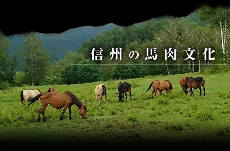 信州の馬肉文化