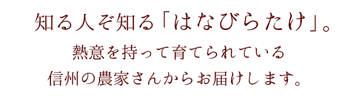 味も、見た目も、栄養も優れた知る人ぞ知る「はなびらたけ」。未来の抗がん剤という夢を掲げ熱意を持って育てられている信州の農家さんからお届けします。