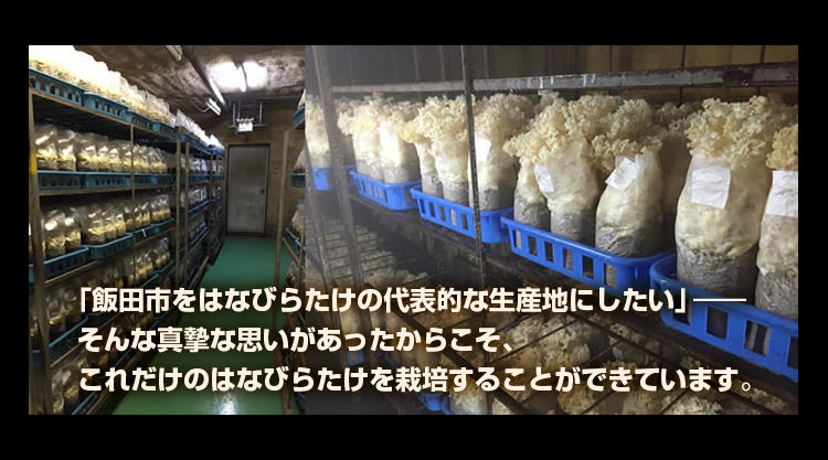 「飯田市をはなびらたけの代表的な生産地にしたい」そんな真摯な思いがあったからこそ、
これだけのはなびらたけを栽培することができています。