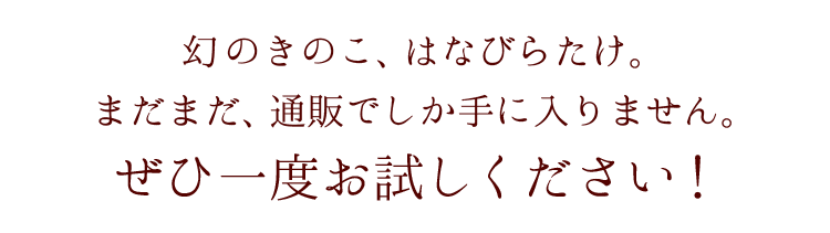 次世代の健康きのこ、はなびらたけ。まだまだ、通販でしか手に入りません。ぜひ一度お試しください！