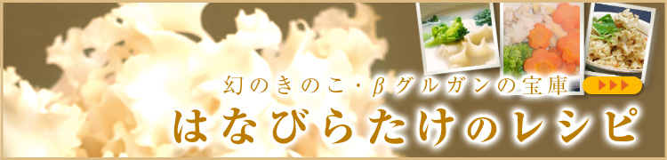 Bグルガンたっぷり 国産ハナビラタケ 通販 お取り寄せ レシピなど あずさ屋