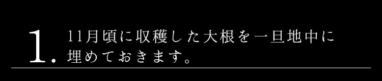 1.11月に収穫した大根を一旦地中に埋めておきます。